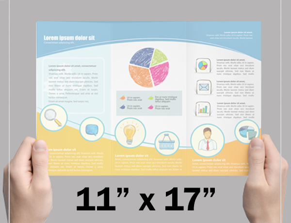 Brochure / Pamphlet: 11 x 17