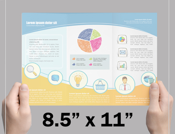Brochure / Pamphlet: 8.5 x 11